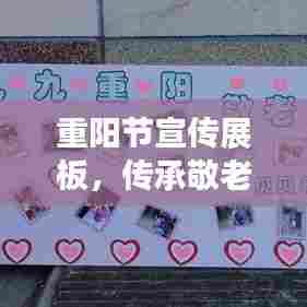 重阳节宣传展板,传承敬老文化,弘扬孝道精神