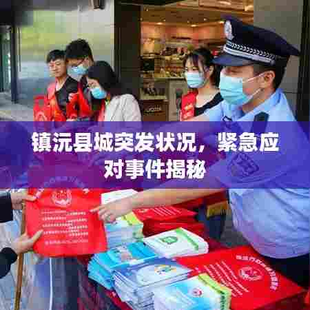 镇沅县城突发状况，紧急应对事件揭秘