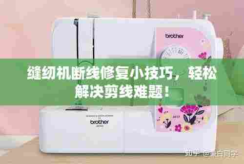 衣无二彩 第6页