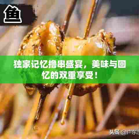 独家记忆撸串盛宴,美味与回忆的双重享受!