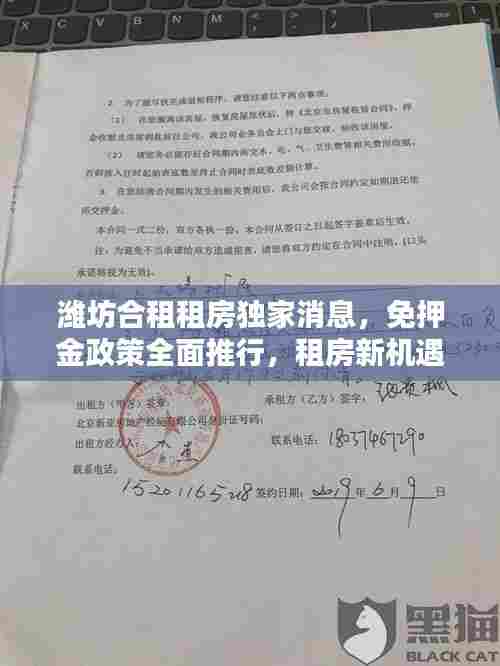 潍坊合租租房独家消息，免押金政策全面推行，租房新机遇！