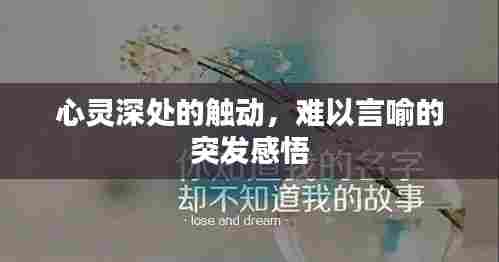 竭尽全力 第7页