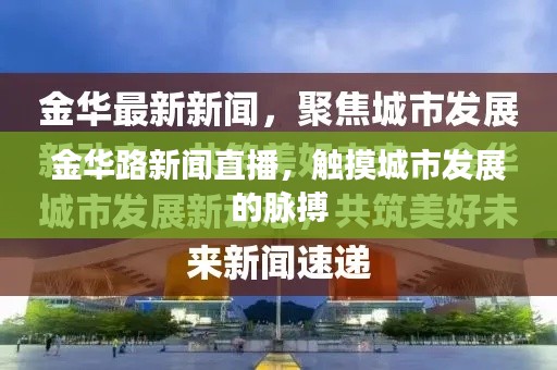 金华路新闻直播,触摸城市发展的脉搏