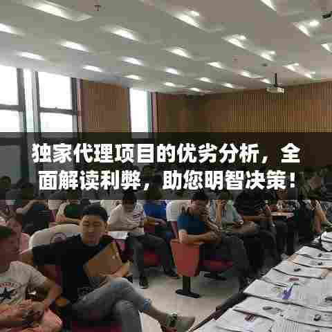 独家代理项目的优劣分析，全面解读利弊，助您明智决策！