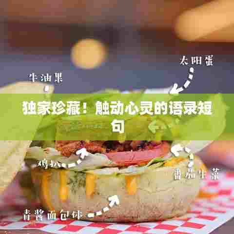 独家珍藏!触动心灵的语录短句