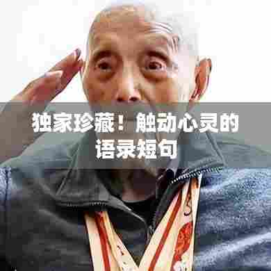 独家珍藏!触动心灵的语录短句