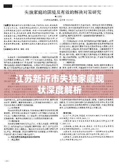 江苏新沂市失独家庭现状深度解析