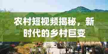 农村短视频揭秘，新时代的乡村巨变