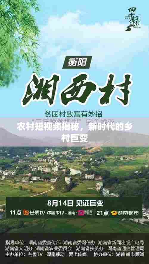 农村短视频揭秘,新时代的乡村巨变