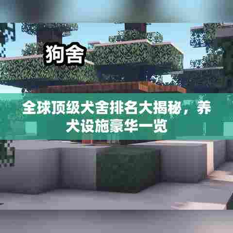 全球顶级犬舍排名大揭秘,养犬设施豪华一览