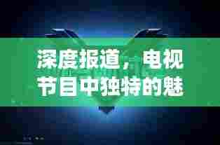 深度报道,电视节目中独特的魅力展现
