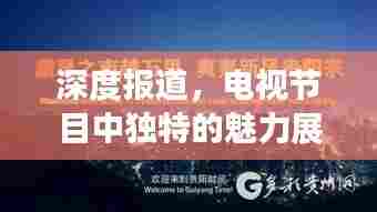 深度报道,电视节目中独特的魅力展现