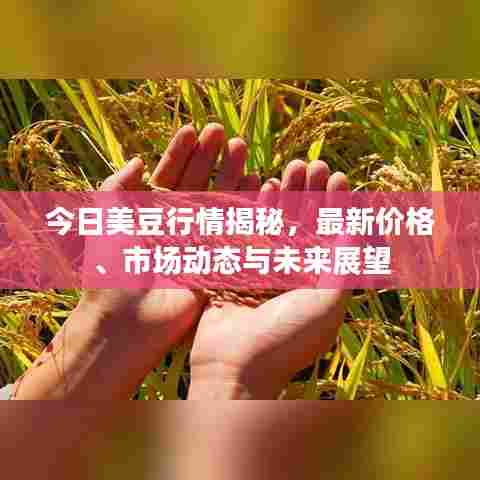 今日美豆行情揭秘,最新价格、市场动态与未来展望