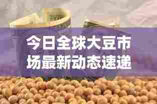 今日全球大豆市场最新动态速递