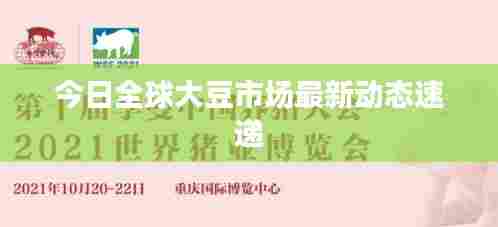 今日全球大豆市场最新动态速递