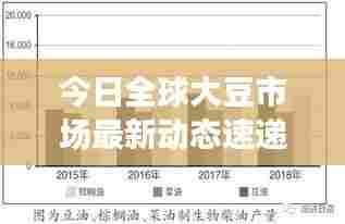 今日全球大豆市场最新动态速递