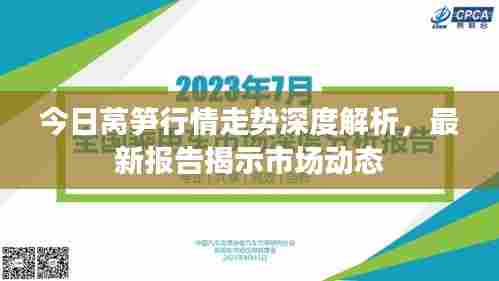 今日莴笋行情走势深度解析，最新报告揭示市场动态