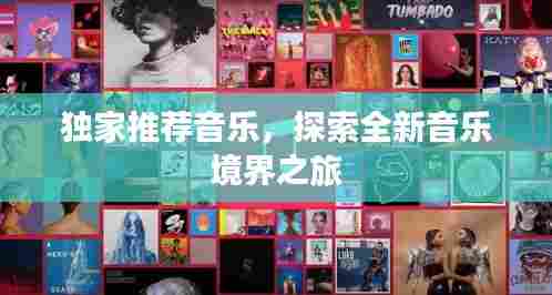 独家推荐音乐，探索全新音乐境界之旅
