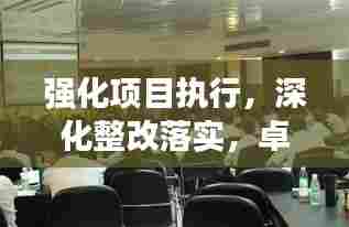 强化项目执行,深化整改落实,卓越执行力的打造之路