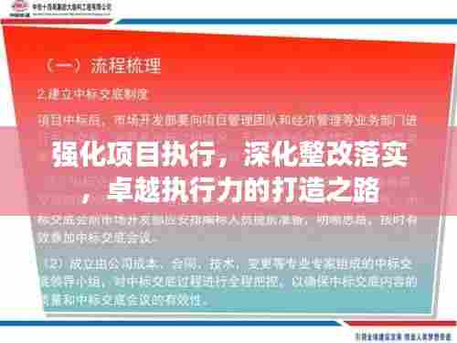 强化项目执行,深化整改落实,卓越执行力的打造之路