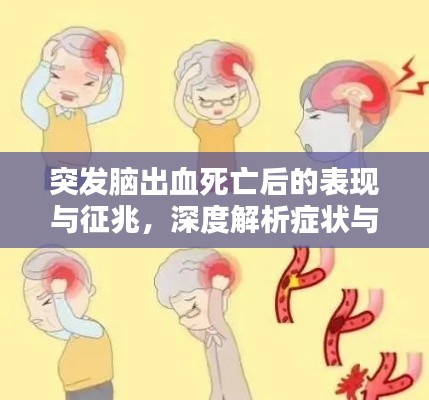 突发脑出血死亡后的表现与征兆，深度解析症状与应对之道
