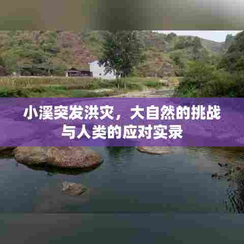小溪突发洪灾,大自然的挑战与人类的应对实录