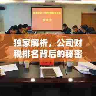 独家解析，公司财税排名背后的秘密与策略！