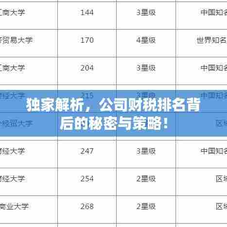 独家解析,公司财税排名背后的秘密与策略!