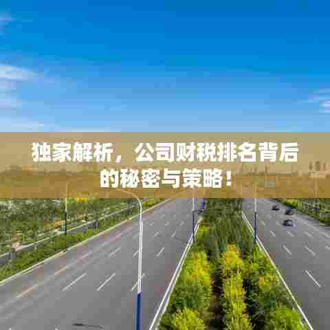 独家解析,公司财税排名背后的秘密与策略!