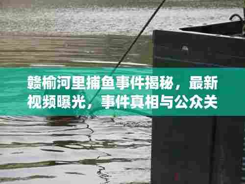 赣榆河里捕鱼事件揭秘,最新视频曝光,事件真相与公众关切全解析