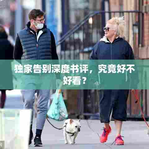 独家告别深度书评,究竟好不好看?