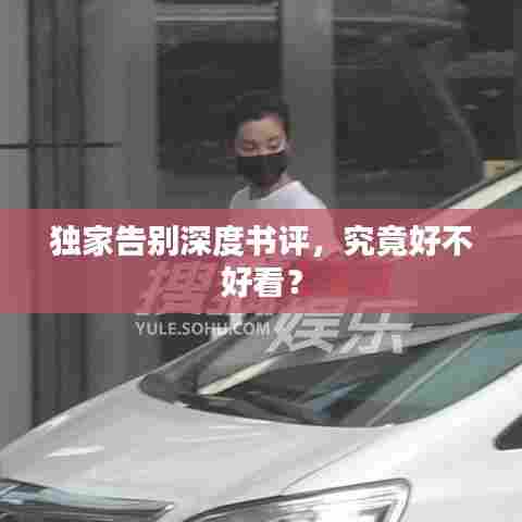独家告别深度书评,究竟好不好看?