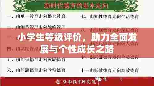 小学生等级评价，助力全面发展与个性成长之路