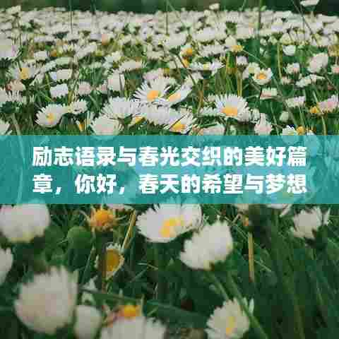 励志语录与春光交织的美好篇章，你好，春天的希望与梦想！