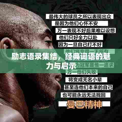 励志语录集结，经典词语的魅力与启示