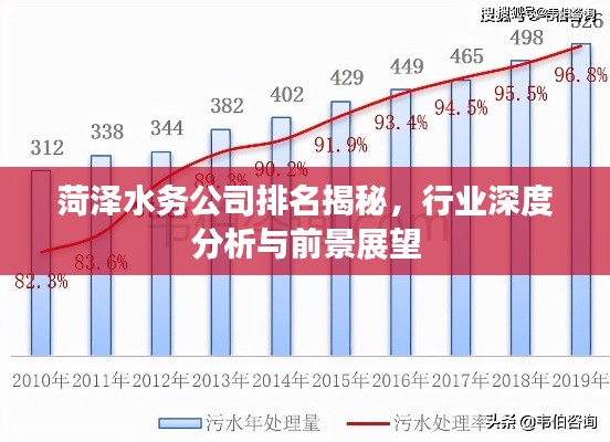 菏泽水务公司排名揭秘,行业深度分析与前景展望