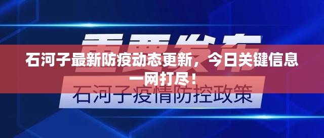 石河子最新防疫动态更新，今日关键信息一网打尽！