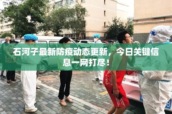 石河子最新防疫动态更新,今日关键信息一网打尽!
