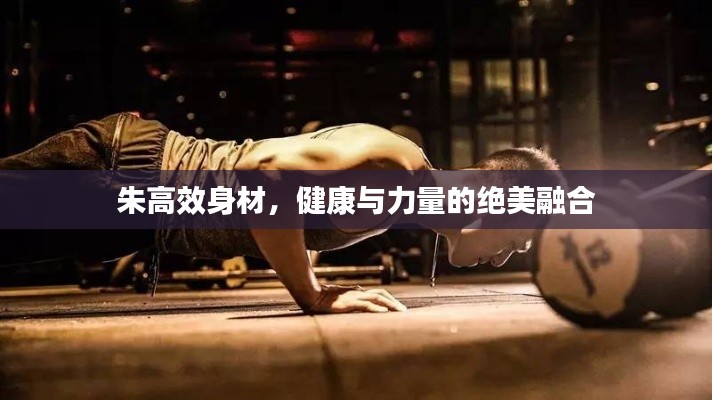 朱高效身材,健康与力量的绝美融合