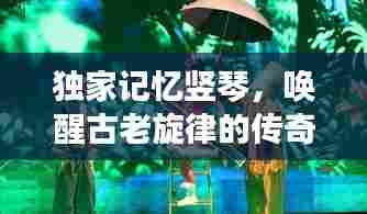 独家记忆竖琴,唤醒古老旋律的传奇乐器之旅