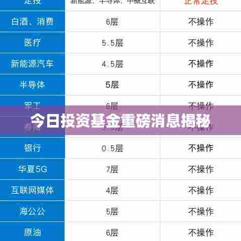今日投资基金重磅消息揭秘