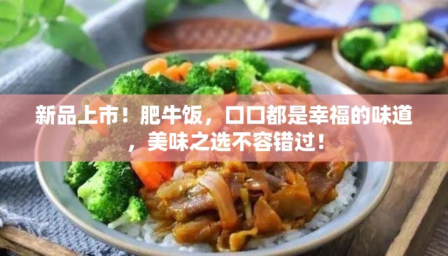 新品上市！肥牛饭，口口都是幸福的味道，美味之选不容错过！