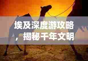 埃及深度游攻略，揭秘千年文明的神秘之旅