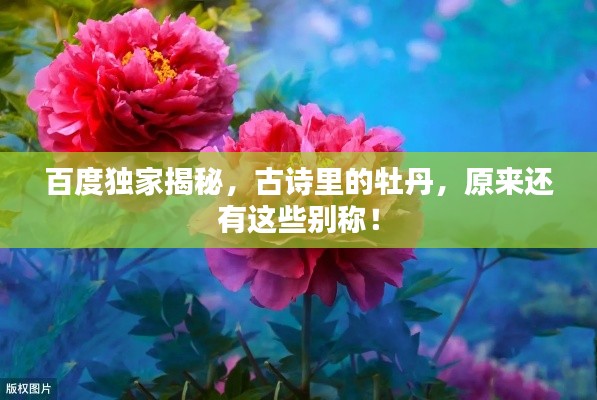 百度独家揭秘,古诗里的牡丹,原来还有这些别称!