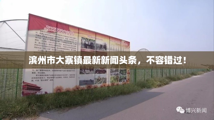 滨州市大寨镇最新新闻头条,不容错过!