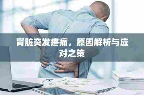 肾脏突发疼痛,原因解析与应对之策