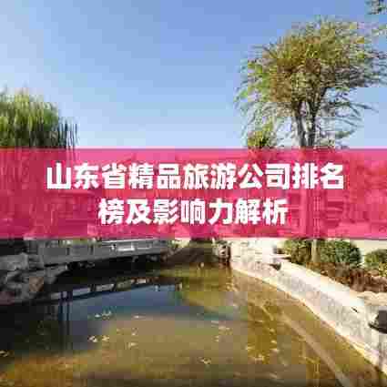 山东省精品旅游公司排名榜及影响力解析