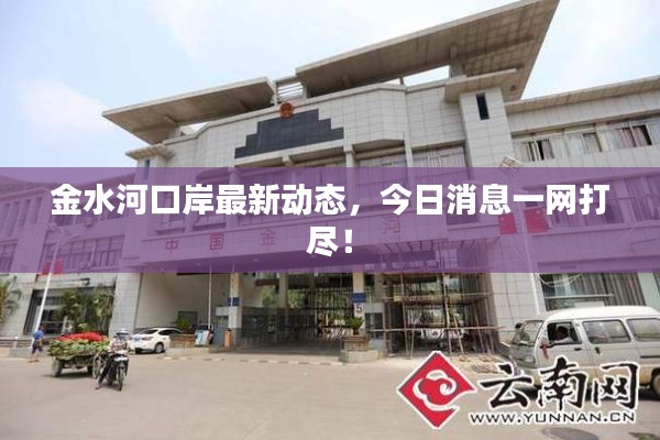 金水河口岸最新动态，今日消息一网打尽！