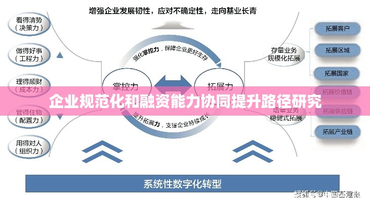 企业规范化和融资能力协同提升路径研究