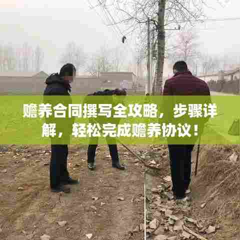 赡养合同撰写全攻略,步骤详解,轻松完成赡养协议!